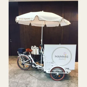 Iscykel/Isvogn